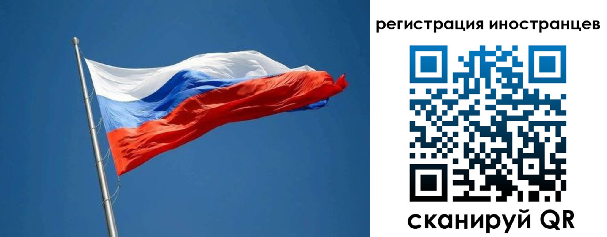 прописка в Порхове